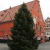 Noch ungeschmückt: der Weihnachtsbaum an der Alten Schranne. Er ist einer von insgesamt drei in der Nördlinger Altstadt. 