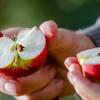 Ein simpler Trick verhindert, dass ein geschnittener Apfel braun wird