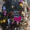 Blumen und Trauerschmuck hängen in Freiburg an einem Baum an der Dreisam. Ein  Flüchtling wird verdächtigt, dort eine 19 Jahre alte Studentin umgebracht zu haben.
