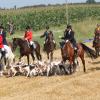 730 Hunde, Pferde und Reiter scheinen eine Einheit zu bilden. Wie das funktioniert, das zeigten die Reiter bei einer Schau-Schleppjagd im Rahmen der Feierlichkeiten zum 30. Jubiläum des Schleppjagdvereins von Bayern.