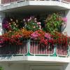 Wer seinen Balkon mit Blumen schmückt, kann am Gestaltungswettbewerb teilnehmen. 

