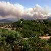 Teile Südeuropas sind von Feuerwalzen bedroht: Hier ein Großbrand auf Sardinien.