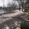 Die Bäumstämme liegen abseits, an der freigeräumten Stelle soll künftig das Lokal am Flößerpark in Lechhausen stehen. 