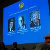 Die Preisträger für den Nobelpreis für Medizin: die drei US-Amerikaner Jeffrey C. Hall, Michael Rosbash und Michael W. Young.