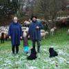 Wie auf dem Hirtenfeld bei Bethlehem: Staudenschäfer Robert Drexel zog mit Ehefrau Maika und Töchterchen Elisa sowie seinen Schafen durch das Dorf zum Weihnachtsmarkt.