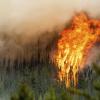 In Kanada ist in diesem Jahr so viel Fläche durch Waldbrände vernichtet worden wie nie zuvor.