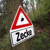 Die Gefahr durch Zeckenbisse steigt auch in der Region - zum Beispiel im Landkreis Augsburg.