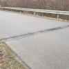 Im Zuge einer Sanierung der Ortsverbindungsstraße von Edelstetten nach Marbach müssen auch die Amphibienübergänge erneuert werden, was die Kosten in die Höhe treibt.