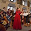 Ein Stündchen zum Entspannen im Schlossfesttrubel bot das Hofkonzert mit der Hofmusik um Nicola Göbel und dem Neuburger Liederkranz, geleitet von Martin Göbel.