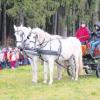 Mit einer von zwei Schimmeln gezogenen Kutsche reiste der Nikolaus zu den Reichlinger Kindergartenkindern an den Wald unter dem Wurzberg. 