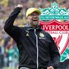 <p>Dortmunds ehemaliger Coach Jürgen Klopp gilt als heißer Kandidat für den Trainerposten beim FC Liverpool.</p>