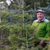 Den Weihnachtsbäumen von Thomas Galler in Nersingen geht es trotz des schwierigen Sommers gut. Obwohl es früher unüblich war, pflanzt er wegen des Klimawandels nur noch im Herbst an. 