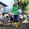 Doris Rauh rettet mit ihrem Verein "Rüsselheim" Tiere, die geschlachtet werden sollten. Hier einige Fotos vom Leben auf dem Hof bei Allmannshofen.