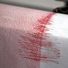 Ein Seismograph verzeichnet Ausschläge bei einem Erd- oder Seebeben: Ein ganzer Schwarm leichter und mittelschwerer Erdbeben hat am Sonntag des Westen der USA erschüttert. Experten rechnen mit weiteren Erdstößen.  