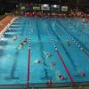 2012 fand das letzte 24-Stunden-Schwimmen im Friedberger Stadtbad statt. Jetzt gibt es eine Neuauflage.