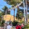 Am Eingang zur Hotelanlage „Cala Martina“ in Es Caná auf Ibiza lädt ein mit Blumen verzierter Schriftzug mittwochs zum ältesten und größten Hippiemarkt der balearischen Insel, dem „Hippy Market Punta Arabí“, ein.