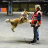 Die Rettungshundestaffel trainiert, wie hier in Senden, zwei- bis dreimal in der Woche. 