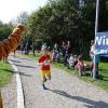 Bei bestem Wetter starteten am Sonntag viele kleine und große Läufer beim Meringer Marktlauf des TVM.