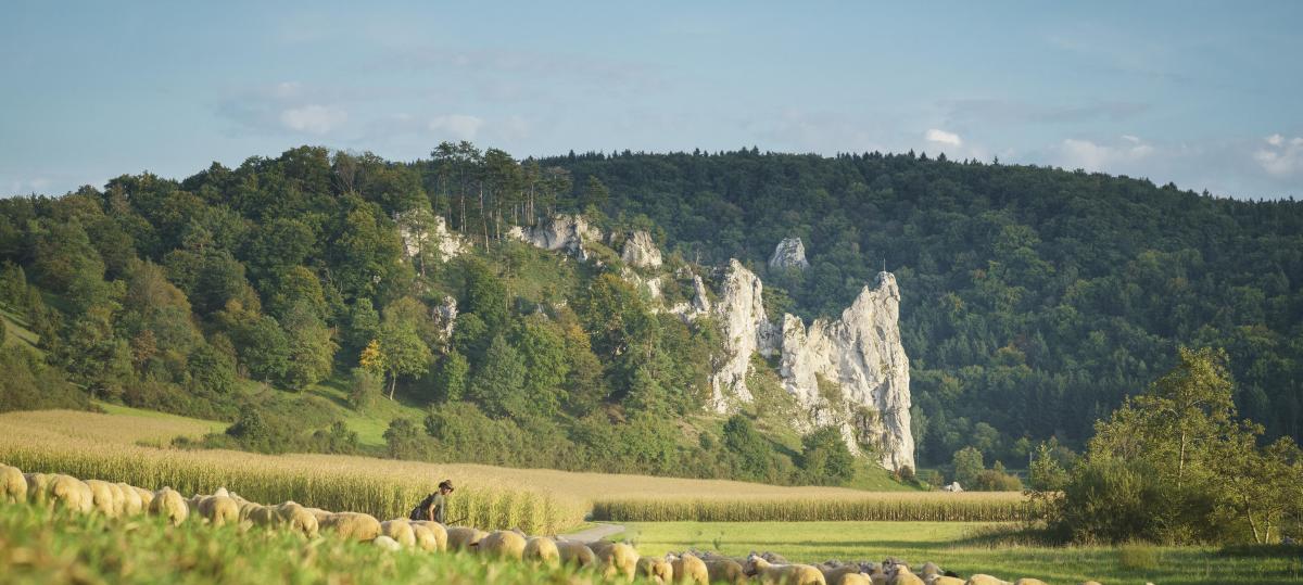 Fast 3000 Quadratkilometer Fläche: Der größte Naturpark Bayerns liegt im Norden von Schwaben