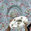Der FC Bayern München kann noch vor Ostern deutscher Meister werden.