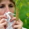 Wer unter Heuschnupfen leidet, muss jetzt sehr stark sein: Die ersten Pollen sind schon unterwegs. Allergiker tun gut daran, umgehend zu reagieren. 