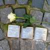 Die Stolpersteine erinnern überall in Deutschland an die Juden, die die Nationalsozialisten ermordet haben.