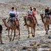 Ein besonderes Erlebnis für die Jugendlichen aus Mering war der Ritt auf Kamelen in der Negev-Wüste.