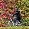 Fahrradfahrerin vor herbstlich verfärbten Blättern.