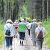Im vergangenen Jahr waren die Leser der Donau-Zeitung rund um Ellerbach unterwegs. Diesmal geht es in den Staufener Forst.  