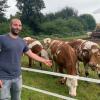 Der Baierberger Milchbauer Johannes Lidl achtet auf die tierfreundliche Haltung seiner Kühe. Sie grasen auf der Weide. Ein Kälbchen hat sich aber davongemacht.