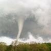 Die am frühen Abend des 05. Mai entstandene Aufnahme zeigt eine Windhose über einem Waldstück etwa 15 Kilometer von Bützow (Mecklenburg-Vorpommern) entfernt.