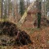 Der Winterorkan Sabine hat auch im Schwabmünchner Luitpoldpark deutliche Spuren hinterlassen. Mehr als ein Dutzend Bäume wurden entwurzelt oder beschädigt. 	
