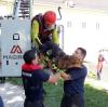 Die Münchner Feuerwehr hat diesen Hund mit einer Drehleiter aus der Isar gerettet.