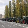 1000 Schlepper standen am Dienstag mitten in München. Landwirte aus ganz Bayern demonstrierten dort im Rahmen von „Land schafft Verbindung“ für mehr Anerkennung für ihre Arbeit. Sie wehren sich gegen immer mehr Bürokratie und gegen Bauern-Bashing.  	