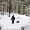 Eine Frau geht mit ihrem Hund durch den verschneiten Wald spazieren. Ab sofort gilt im Unterallgäu die 15-Kilometer-Regel. 