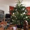 Haben Sie auch so einen schönen Christbaum zuhause? 	 	