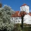 Die Polizei Friedberg vermutet, dass ein Steinwurf für eine beschädigte Scheibe am Wittelsbacher Schloss in Friedberg verantwortlich ist. 