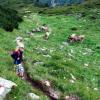 Jan Schiefele aus Attenhausen (sieben Jahre) bei seiner ersten Bergtour auf die Gerlossteinwand im Zillertal (2166 Meter) im Sommer 2010. 
