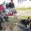 Verschiedene Lebensräume – darunter das Wasser – erkundeten die Schüler in Holzheim bei einem Aktionstag.  