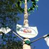 In diesem Jahr bleibt der Maibaum des Kleingartenvereins der einzige, der in den Himmel über Thannhausen ragt. 