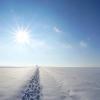 Der Schnee hat diese Landschaft bei Aichach in ein dickes Winterkleid gehüllt und ihr ein ganz neues Aussehen gegeben. Nur selten trifft man auf einen Spaziergänger, wie die Spuren im Schnee zeigen.