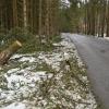 Das Wasserwirtschaftsamt Weilheim warnt vor umstürzenden Bäumen und abbrechenden Ästen.