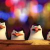 Bereits aus den "Madagaskar"-Filmen 1 und 2 bekannt, müssen die vier Pinguin-Geheimagenten Skipper, Kowalski, Rico und Private jetzt in ihrem eigenen Kinofilm das Böse bekämpfen.