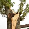 Eine Schneise der Verwüstung hinterließ ein Unwetter am Montag im Landkreis. Die größten Schäden gab es in Großaitingen, auch der Schwabmünchner Stadtteil Birkach war betroffen.