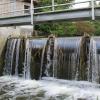 Noch stellt dieses Wehr ein unüberwindbares Hindernis für die Fische in der Eger dar. Eine Fischtreppe als Umgehung soll das ändern. 	