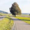 Die für die Gemeinde Oberroth anfallenden Kosten für den Radwegbau nach Babenhausen werden vom Freistaat mit knapp 60 Prozent bezuschusst. 