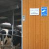 Die Staatsanwaltschaft ermittelt gegen den Betreiber des Hofes in Bad Grönenbach wegen Tierquälerei. Doch wo liegt die Grenze?