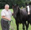 Der Hochdorfer Josef Wurmser liebte seine Pferde und fuhr über 20 Jahre mit seinen Kutschen.