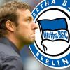 Weinzierl muss sich am Samstag Hertha stellen.