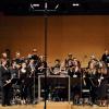 Die Süddeutsche Bläserphilharmonie begeistert mit einem Konzertabend der Extraklasse.